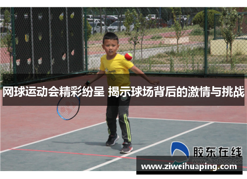 网球运动会精彩纷呈 揭示球场背后的激情与挑战