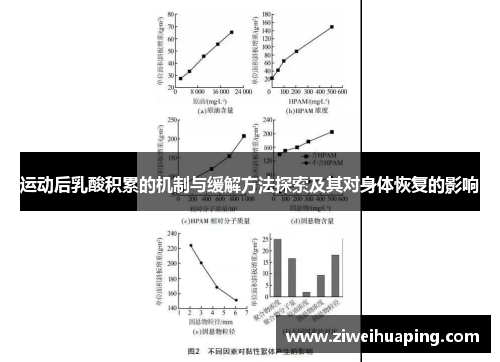 运动后乳酸积累的机制与缓解方法探索及其对身体恢复的影响