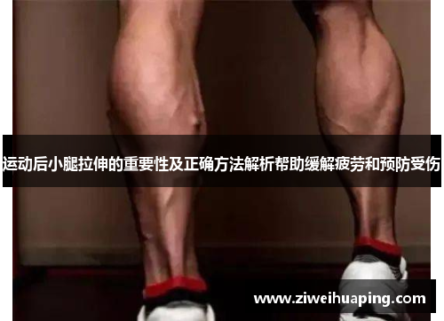 运动后小腿拉伸的重要性及正确方法解析帮助缓解疲劳和预防受伤