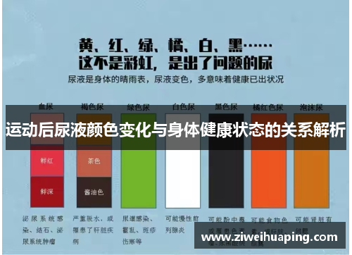 运动后尿液颜色变化与身体健康状态的关系解析