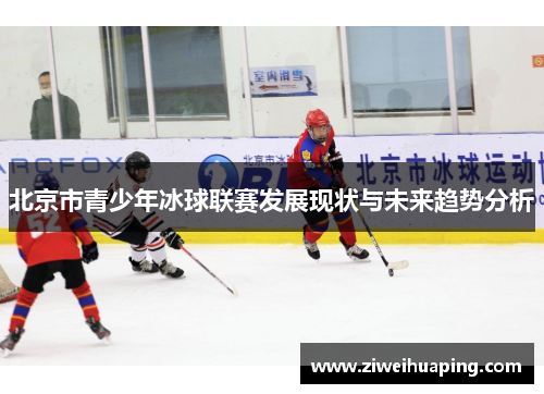 北京市青少年冰球联赛发展现状与未来趋势分析