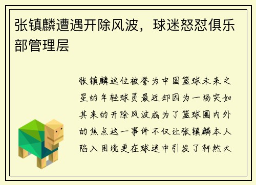 张镇麟遭遇开除风波，球迷怒怼俱乐部管理层