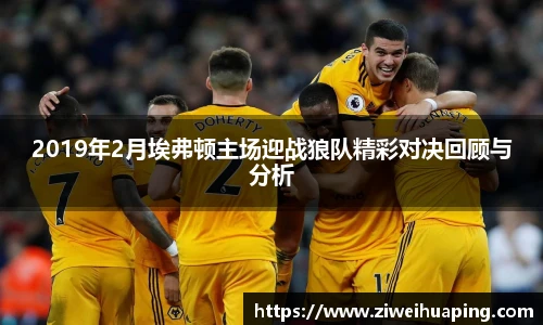 2019年2月埃弗顿主场迎战狼队精彩对决回顾与分析