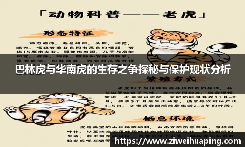 巴林虎与华南虎的生存之争探秘与保护现状分析